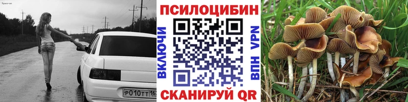 Псилоцибиновые грибы MAGIC MUSHROOMS  Купить  Мосальск 